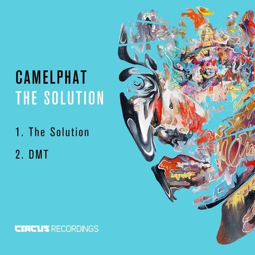 Cover art for The Solution