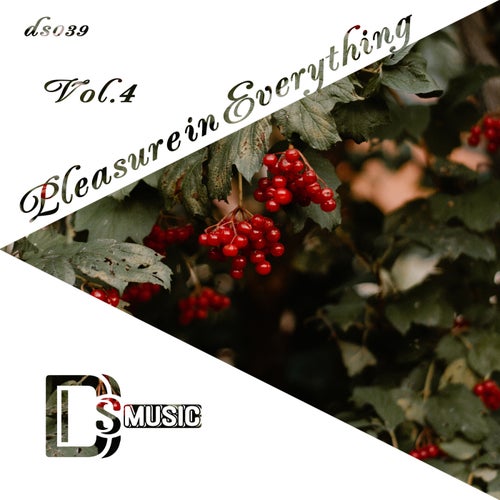 Cover art for Pleasure in Everything, Vol.4