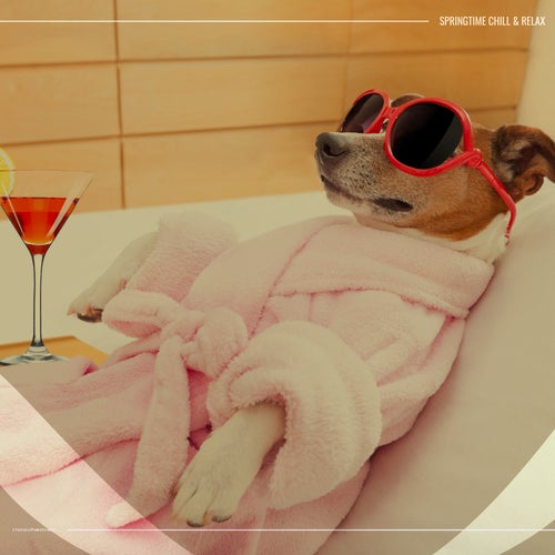 Springtime Chill & Relax