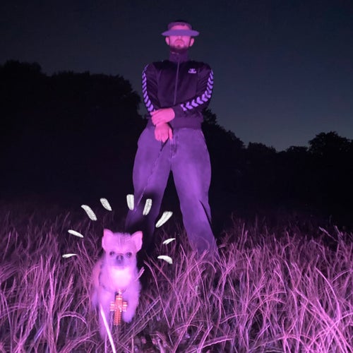 Kampfhund Im Club - 2024