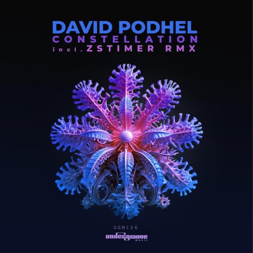 VA -  David Podhel - Constellation (2024) [MP3] D9178e68-de62-4d36-addf-456a056448d3