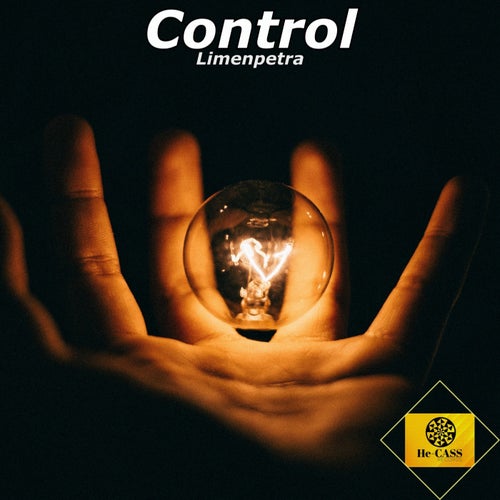 Cover art for Control