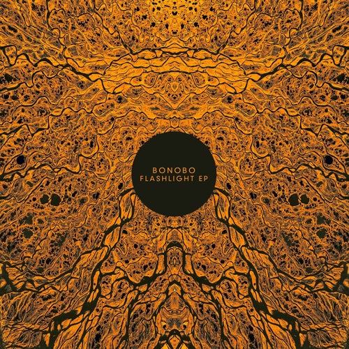 Flashlight EP