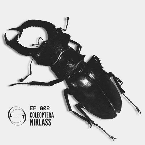 Coleoptera