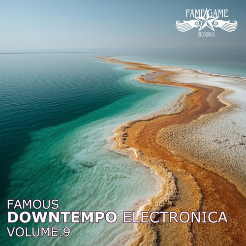 Famous Downtempo Electronica, Vol. 9