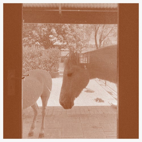 Country/The Country