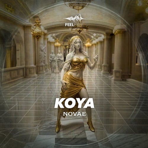 Novae