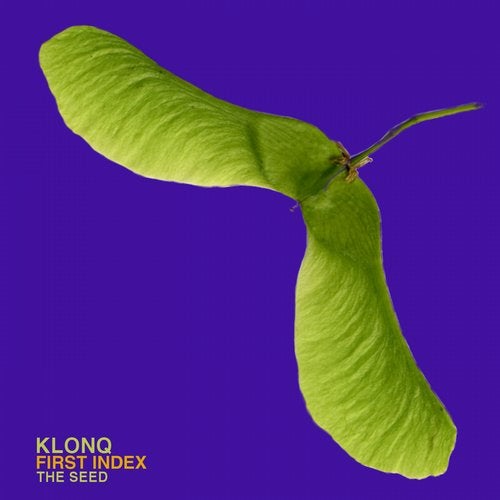 Cover art for First Index