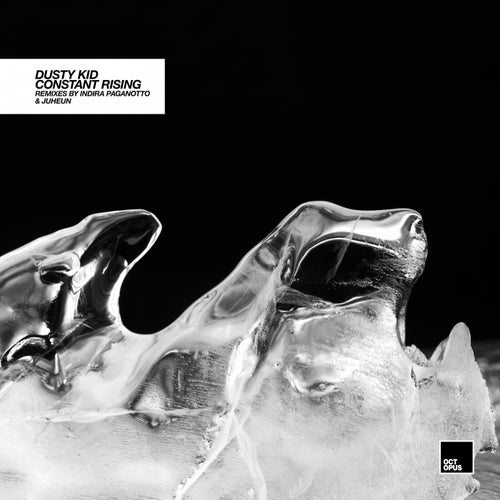 Cover art for Constant Rising