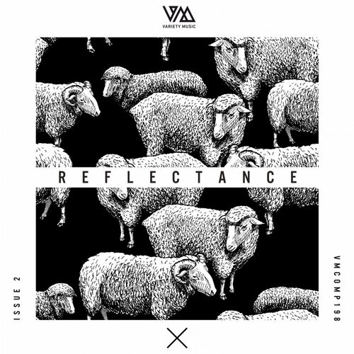 Reflectance Issue 2