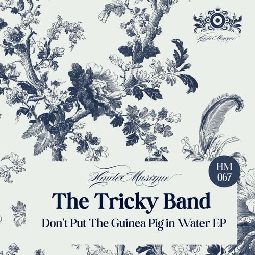 Don't Put The Guinea Pig In Water EP
