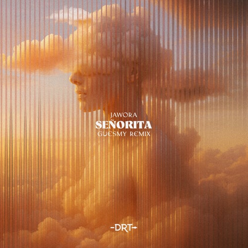 Señorita - Guesmy Extended Remix