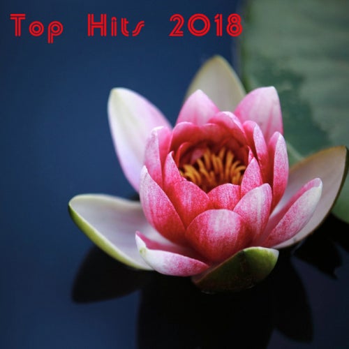 Top Hits 2018