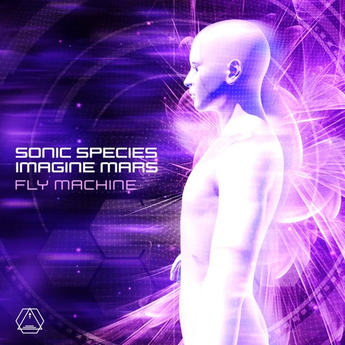 Cover art for Fly Machine