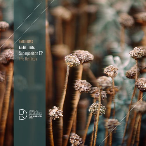 Superposition EP - The Remixes