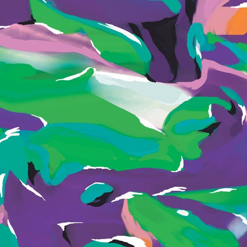 Birds Of Paradise (Remixes)