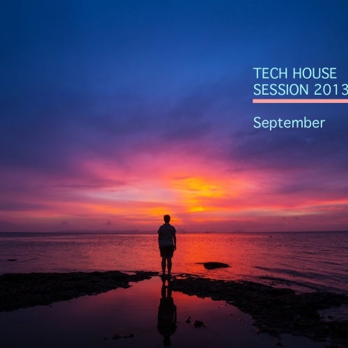 LELU_TECH HOUSE SESSION 2013 SEPTEMBER