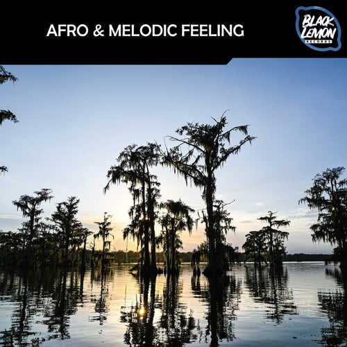 Afro & Melodic Feeling