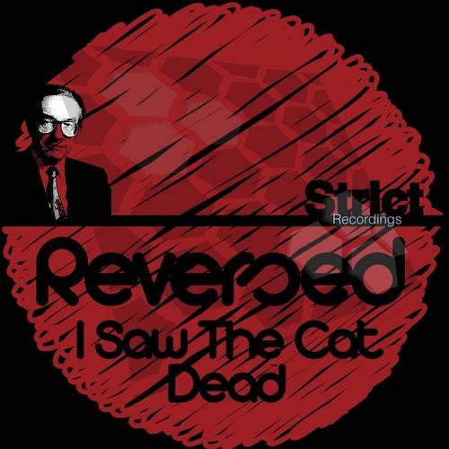 I Saw The Cat Dead