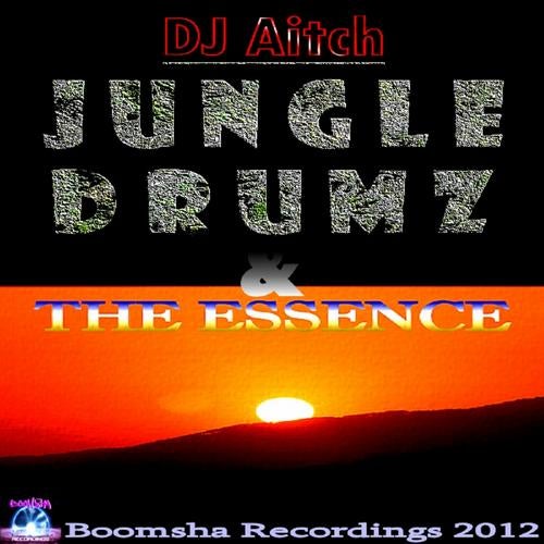 Jungle Drumz / The Essence