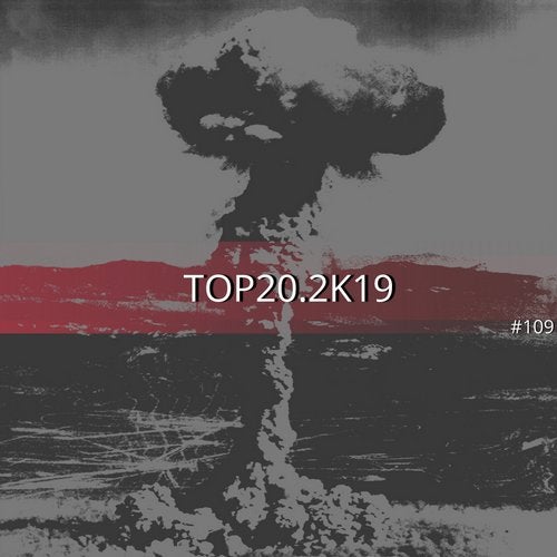 Cover art for TOP202K19