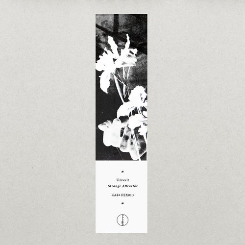 Strange Attractor EP - Digital