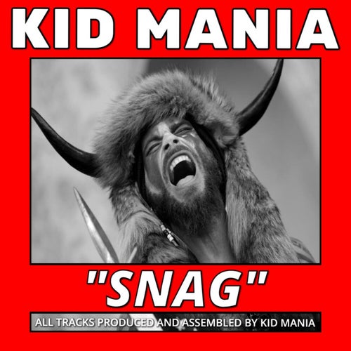 Cover art for SNAG