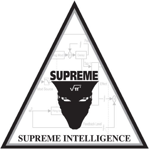 Supreme Intelligence