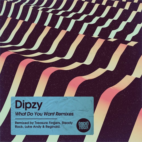 What Do You Want (Remixes)