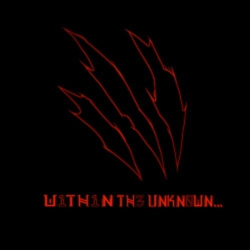 WithinTheUnknown...
