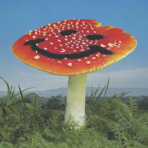 Cover art for Wonderland