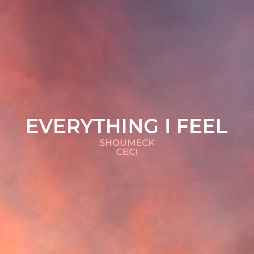 Everything I Feel