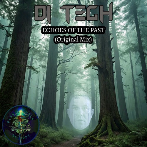 Echoes of the Past