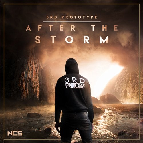 Cover art for After The Storm