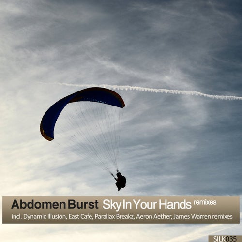 Sky In Your Hands [Remixes]