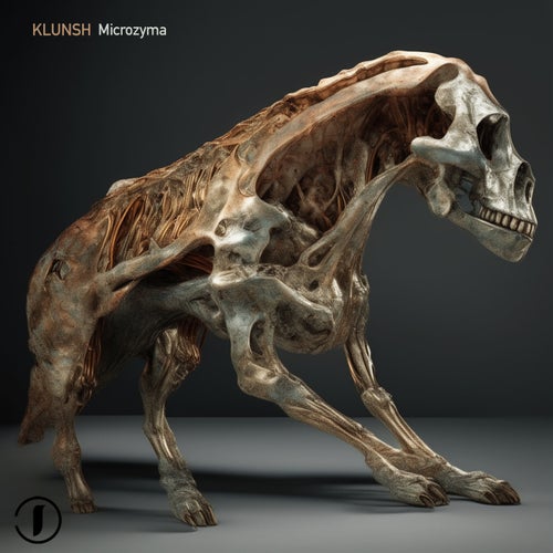  Klunsh - Microzyma (2024) 