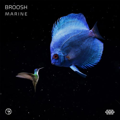  Broosh - Marine (2023) 