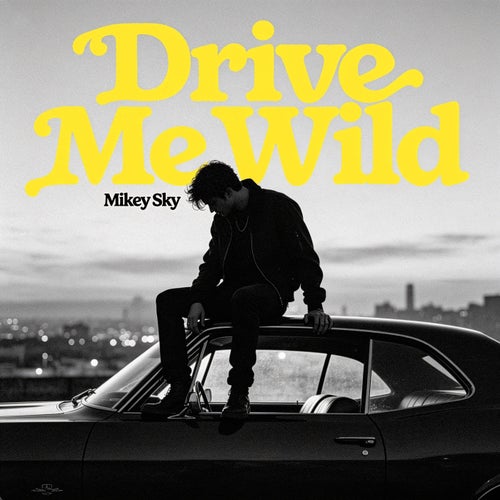 Drive Me Wild