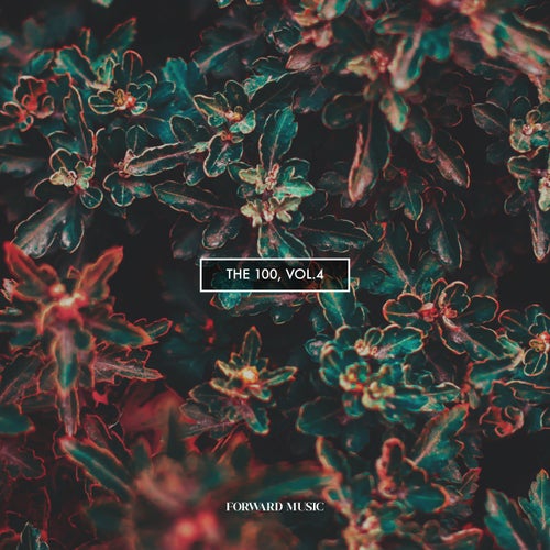 Cover art for The 100, Vol. 4