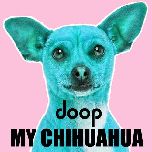 My Chihuahua