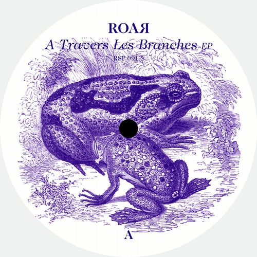A Travers Les Branches