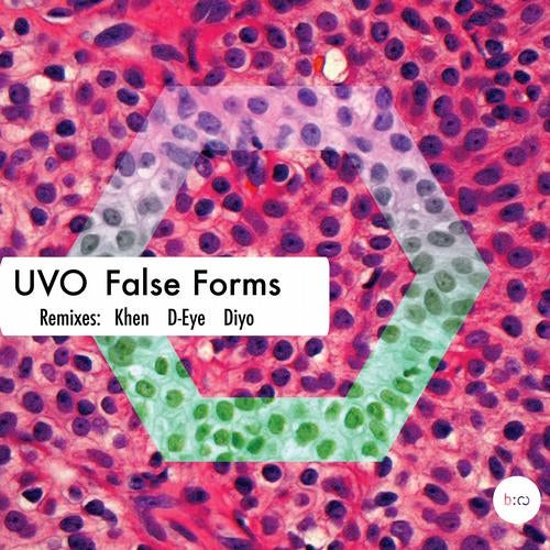 False Forms