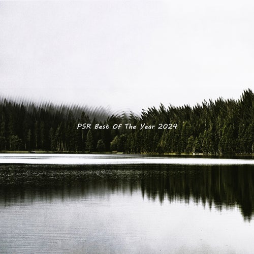 PSR Best Of The Year 2024 [Purple Sun Records]