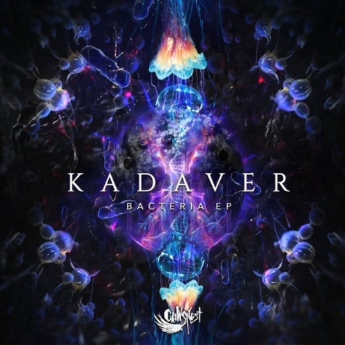 Bacteria EP