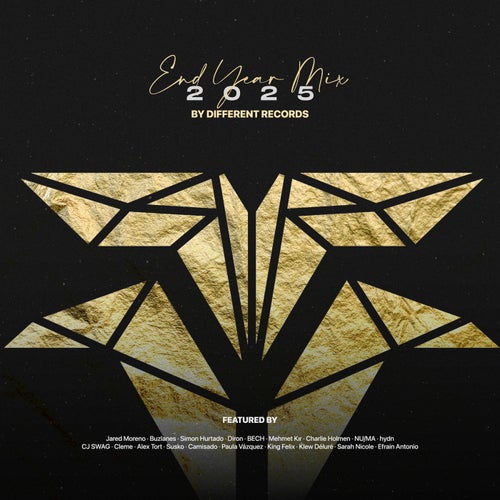 Different Records: End Year Mix 2025