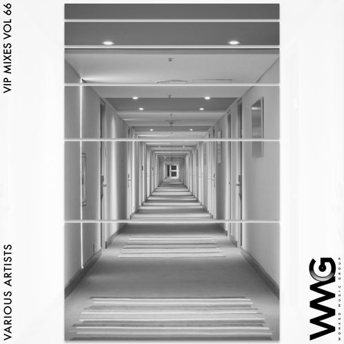 VIP Mixes, Vol. 66