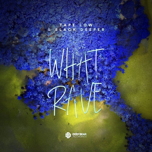 What Rave