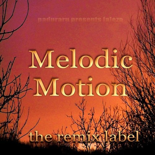 Melodic Motion (Fine Aerobic House Mix)