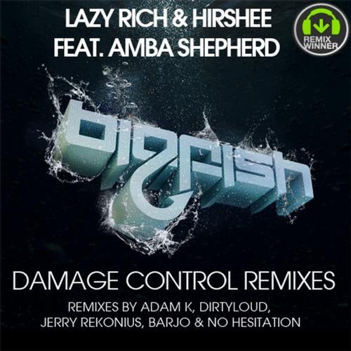 Damage Control Remixes