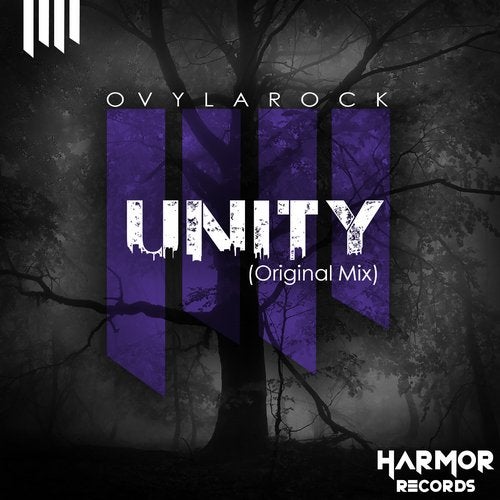 Cover art for Unity